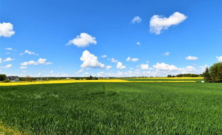 działka na sprzedaż - Piaski (gw), Wierzchowiska, Wierzchowiska Drugie